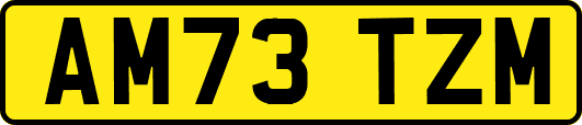 AM73TZM