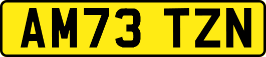 AM73TZN