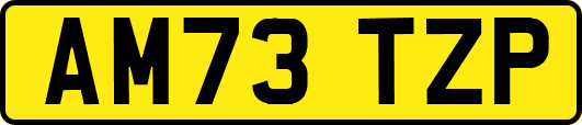 AM73TZP