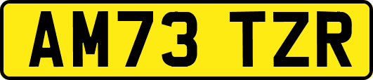 AM73TZR
