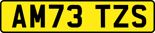 AM73TZS