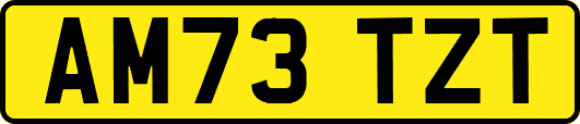AM73TZT