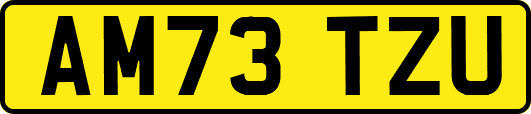 AM73TZU