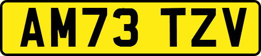 AM73TZV
