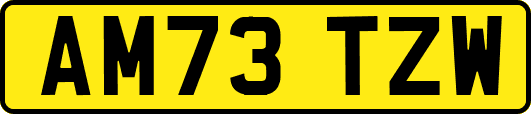 AM73TZW