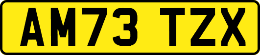 AM73TZX
