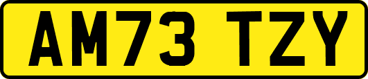 AM73TZY