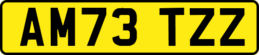 AM73TZZ