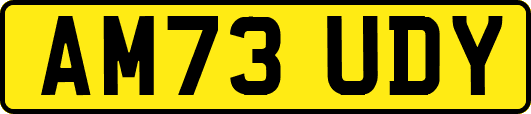 AM73UDY