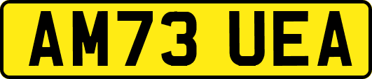 AM73UEA