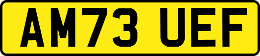 AM73UEF