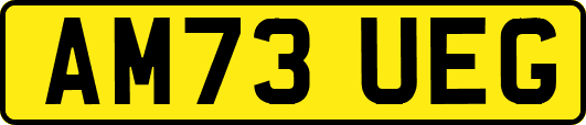 AM73UEG