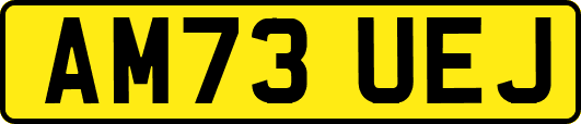 AM73UEJ