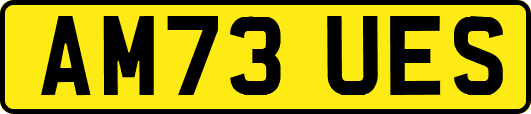 AM73UES
