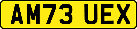 AM73UEX