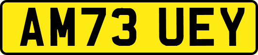 AM73UEY