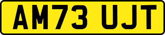 AM73UJT