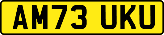 AM73UKU