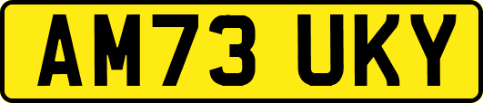 AM73UKY