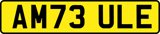 AM73ULE