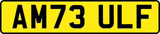 AM73ULF
