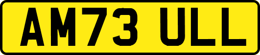 AM73ULL