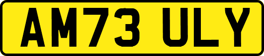 AM73ULY
