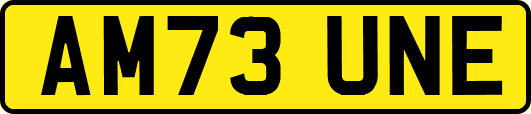 AM73UNE