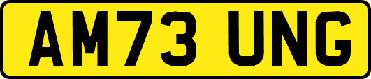 AM73UNG