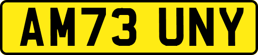 AM73UNY
