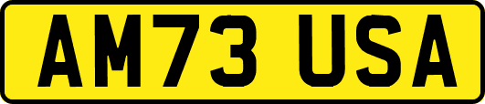 AM73USA