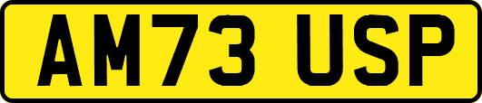 AM73USP