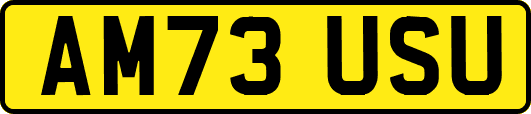 AM73USU