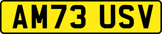 AM73USV