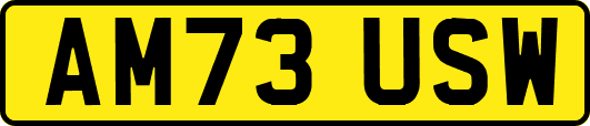 AM73USW
