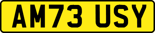 AM73USY
