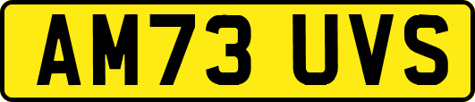 AM73UVS