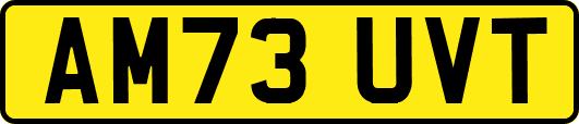 AM73UVT