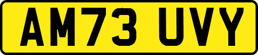 AM73UVY