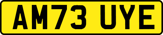 AM73UYE