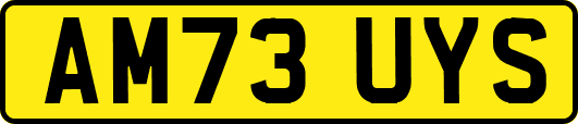 AM73UYS