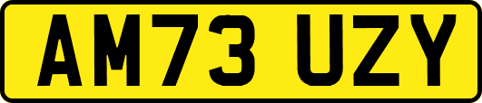 AM73UZY