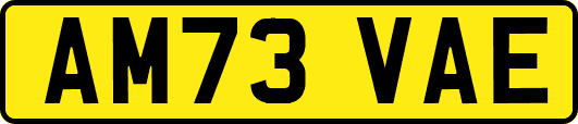 AM73VAE