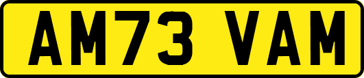 AM73VAM