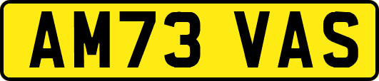 AM73VAS