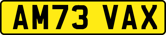 AM73VAX