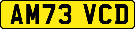 AM73VCD