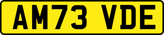 AM73VDE
