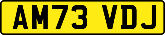 AM73VDJ