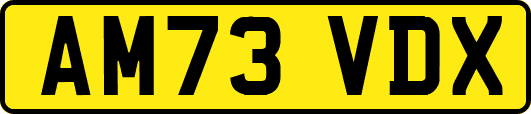 AM73VDX